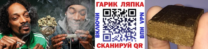 kraken как войти  купить наркотики сайты  Нефтегорск  Гашиш индика сатива 