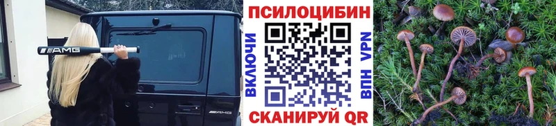 Галлюциногенные грибы MAGIC MUSHROOMS  цены наркотик  Нефтегорск 